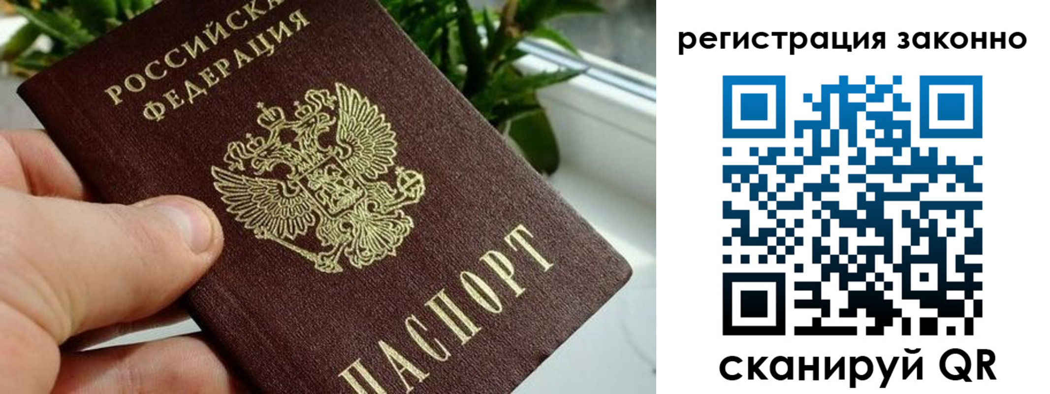 прописка гарантия в Губахе
